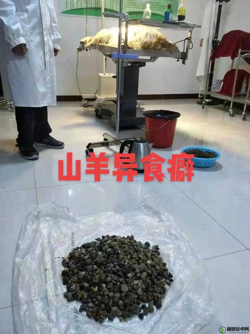 日山羊会有事吗？其后续发展令人担忧