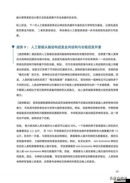 关于一级的详细解读与深入探讨